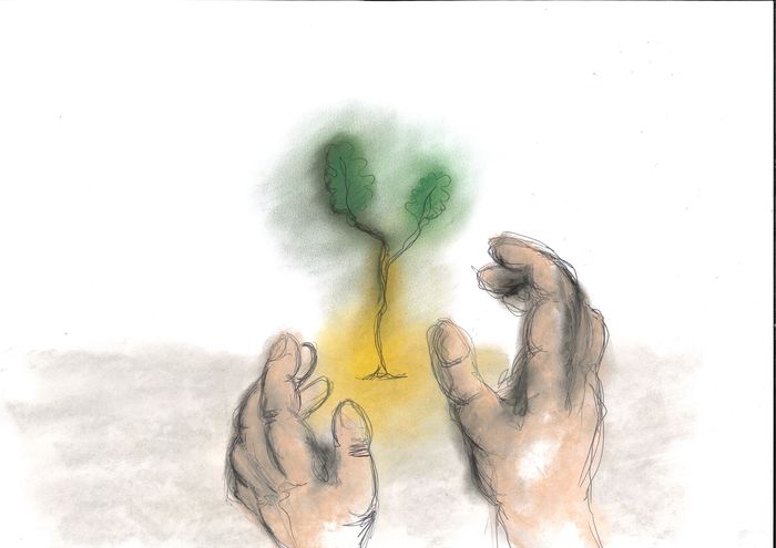 L'homme qui plantait des arbres