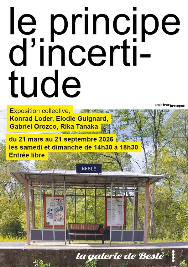 Visite commentée de l'exposition "le principe d'incertitude" à la galerie de Beslé.
