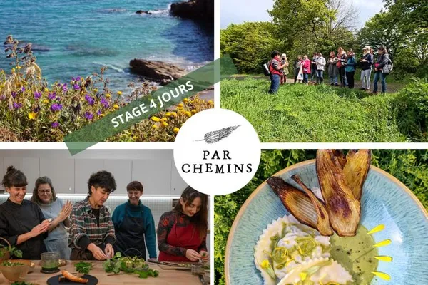 Stage de 4 jours : gastronomie et cueillette des plantes sauvages