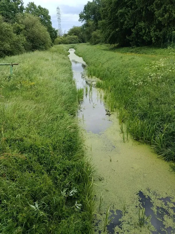 JeP - Balade au fil de l'eau à Coignières
