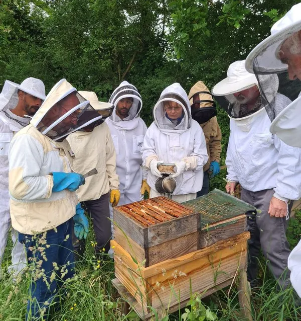 Conférence consacrée à l'apiculture naturelle et à l'abeille noire