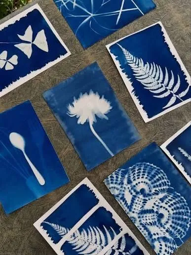 Atelier initiation au Cyanotype