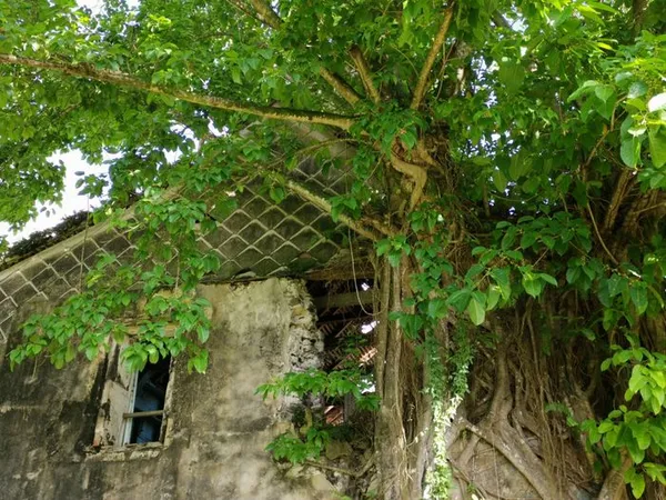 VISITE COMMENTÉE DE L'HABITATION DUFFERET