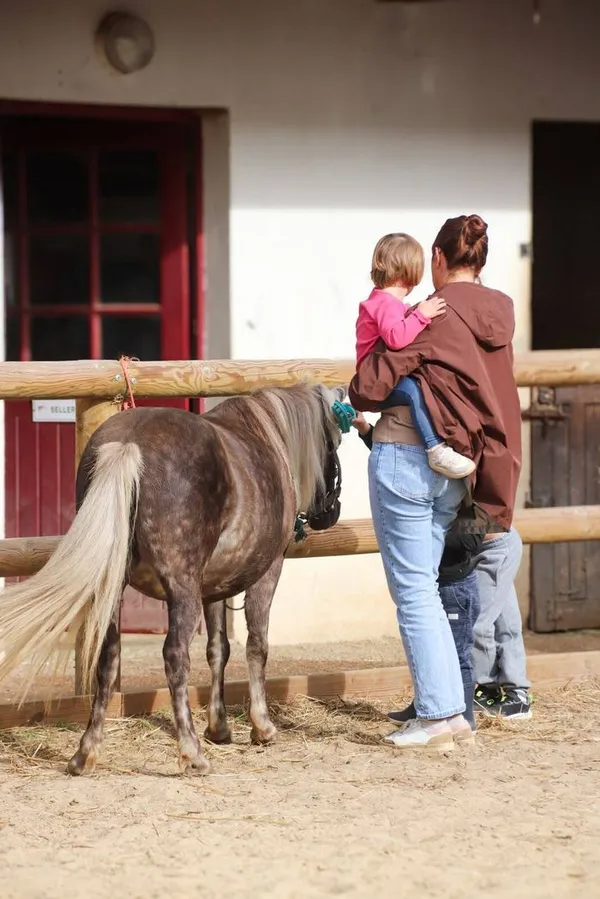 Baptême poney à la SHUC