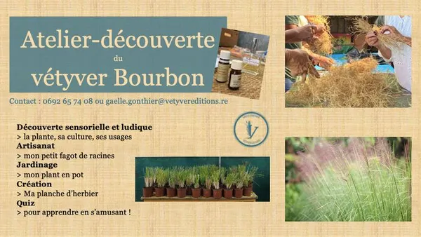 Atelier-découverte du vétyver Bourbon