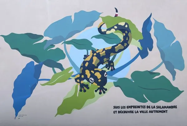 Balade urbaine "Parcours de la Salamandre"