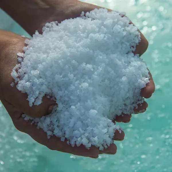 Visite commentée des salines
