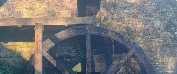 Comprendre le fonctionnement des moulins à vent et à eau
