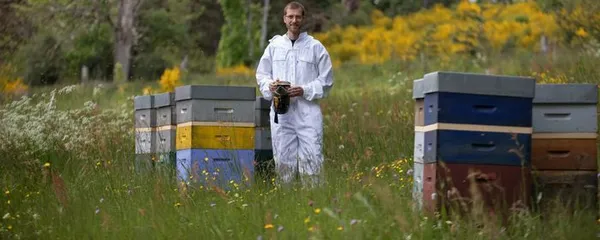 Partez à la découverte du monde des abeilles et du métier d'apiculteur à la Miellerie des Séquoias