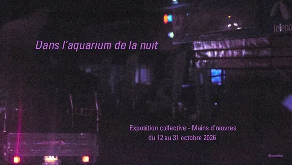 Dans l'aquarium de la nuit
