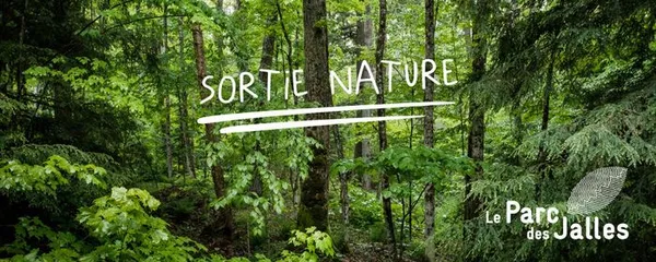 Balade nature du Parc des Jalles : Mais à qui appartient cette belle plume ?