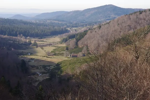 Randonnée sur l’Aigoual : "Patrimoine en péril : raviver, résister, réimaginer"