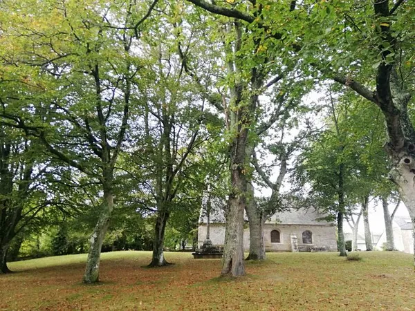À la découverte de la chapelle Saint-Trémeur !