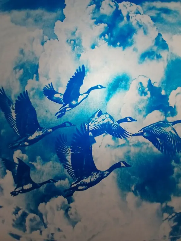 Ateliers cyanotypes