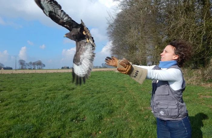 Rencontre avec le CHENE : recueillir et soigner la faune sauvage