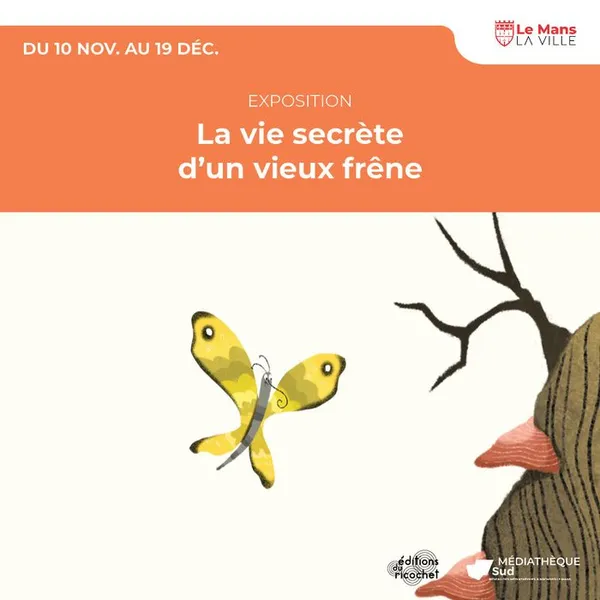La vie secrète d’un vieux frêne
