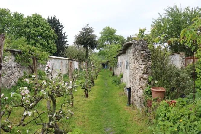 Visite guidée des Murs à Pêches (durée 2h)
