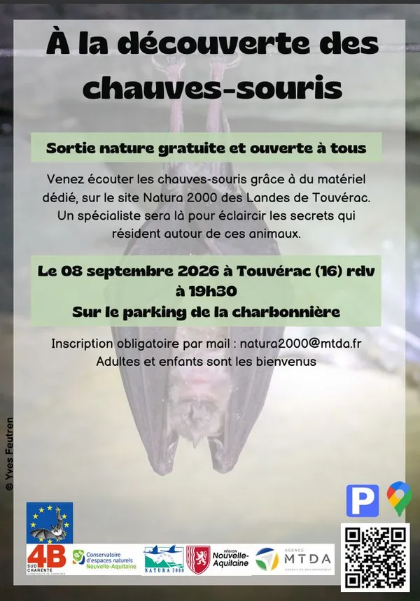 À la découverte des chauves-souris