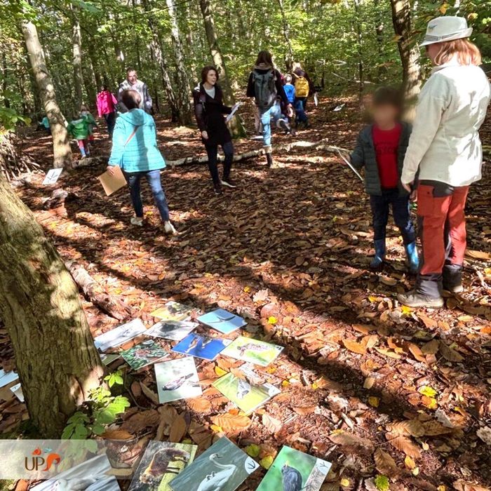 COMPLET | Initiation au pistage de la faune forestière