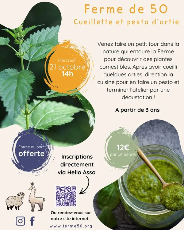 Ateliers familles - Cueillette et pesto d'orties