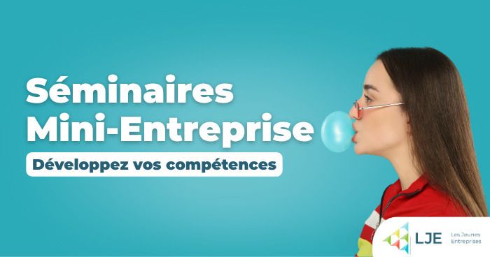 Séminaire Mini-Entreprises