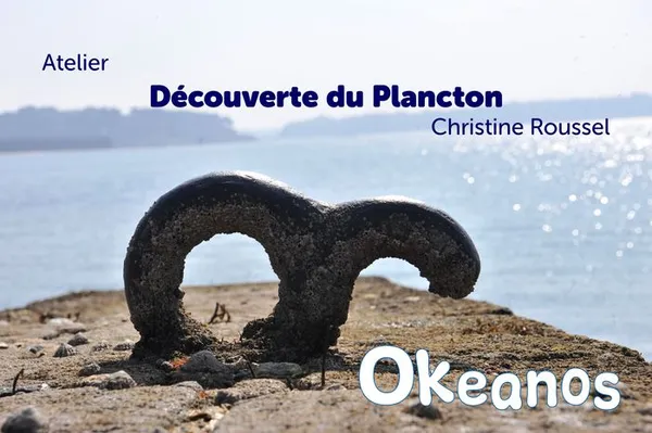 Atelier « Découverte du plancton »