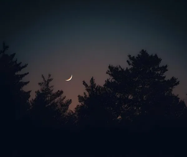 La nature au crépuscule