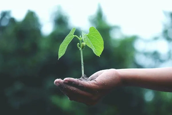 Entrepreneuriat à impact