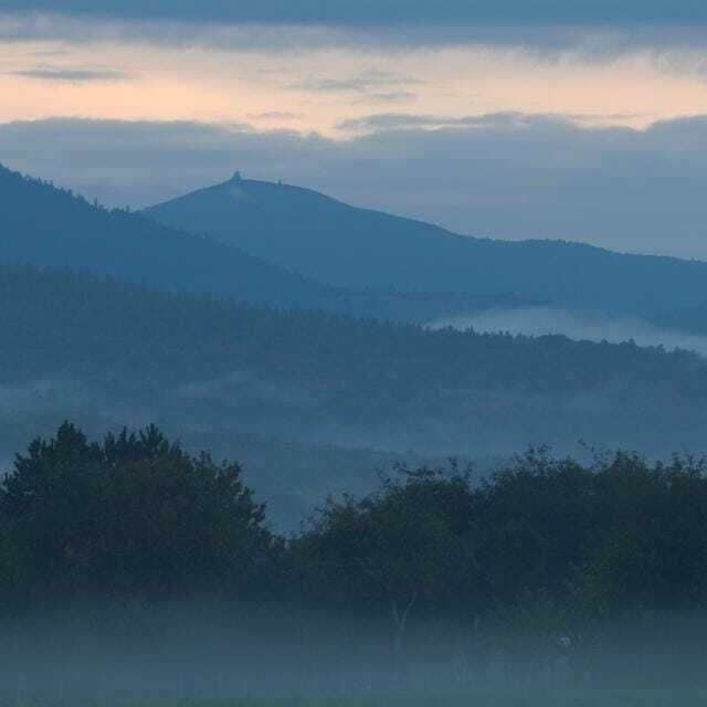 Venez observer la migration à Denney : au carrefour des migrations entre Vosges et Jura