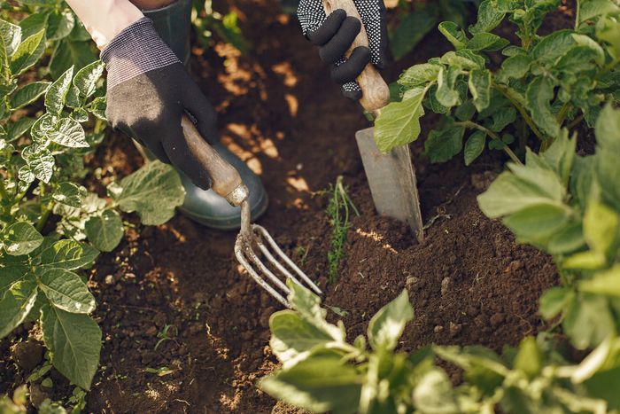 Visite des jardins de Solembio