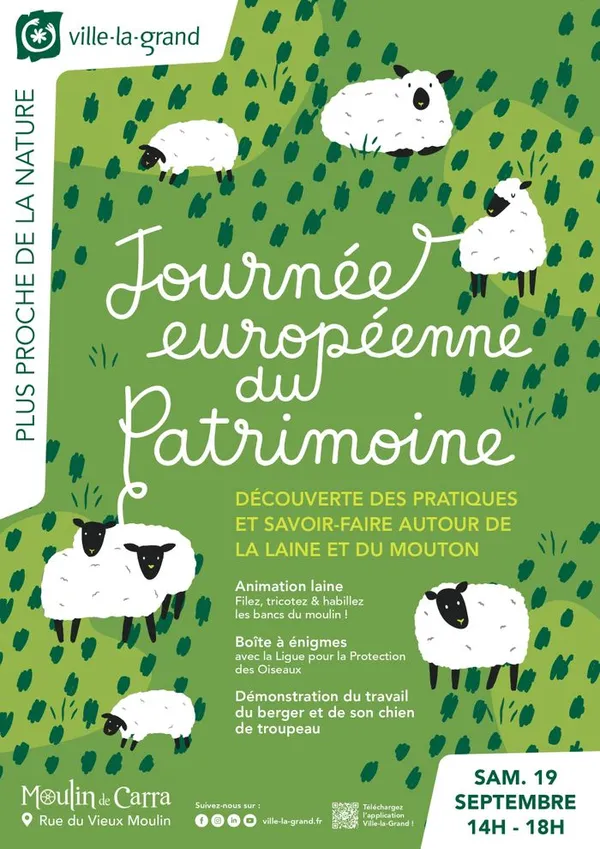 pratiques et savoir-faire autour de la laine de mouton
