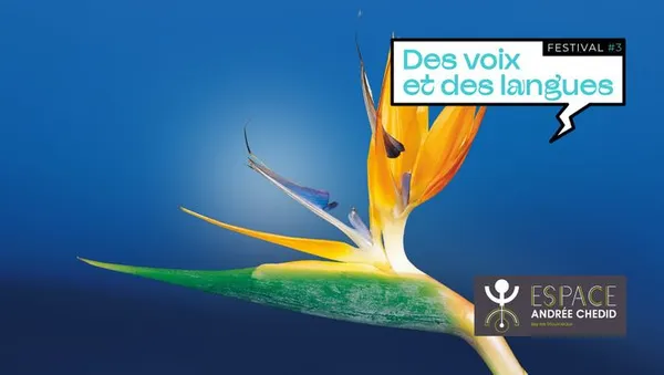 Atelier d'écriture : Noms d'oiseaux !