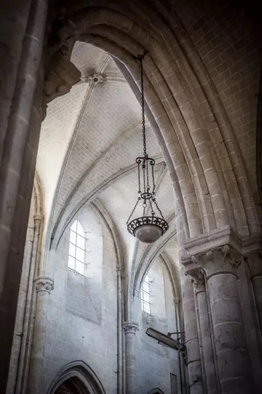 Visite de la Collégiale Saint-Liphard