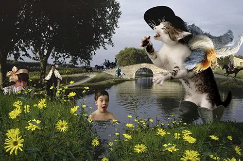 PLEIN LES YEUX !
Une histoire animale du livre photographique pour enfants