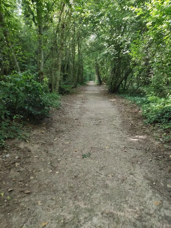 Découvrir la forêt autrement *Version “FALC” (Facile à Lire et à Comprendre)