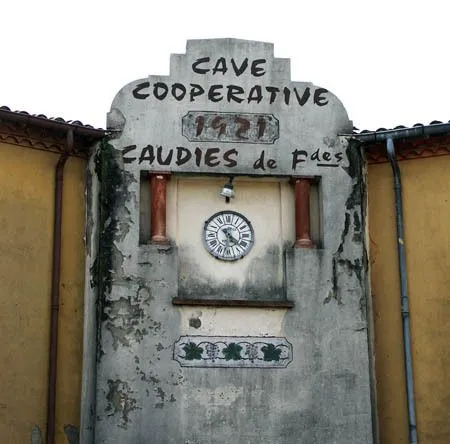 Conférence : une cave coopérative en fenouillèdes