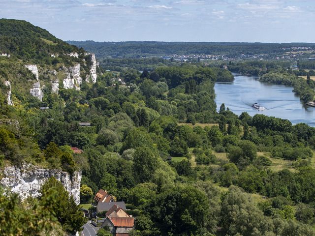 Visite hors-les-murs : les oiseaux en Seine
