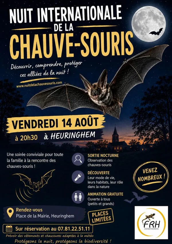 Nuit Internationale de la Chauve-souris à Heuringhem