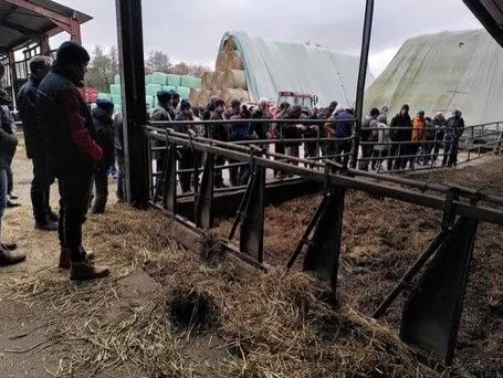 Valorisation de déchets verts et des haies de la ferme en litière plaquette bois