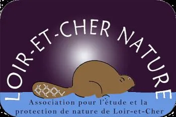 La Nuit de la chauve-souris