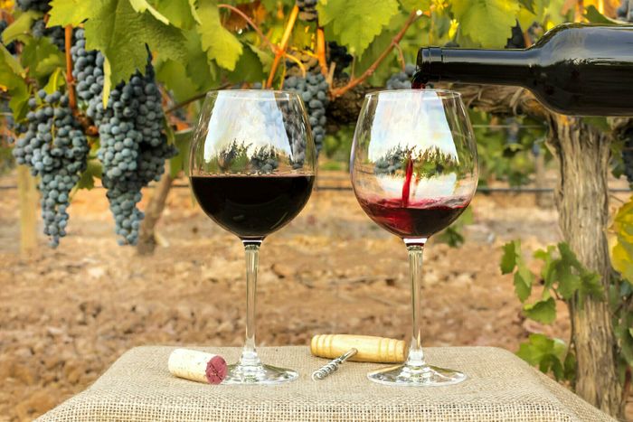 Fête du vin nouveau