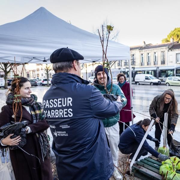 Distribution de 200 arbres sur le marché de Noël
