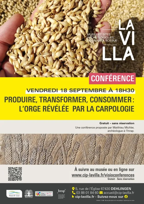 Produire, transformer, consommer : l'orge révélée par la carpologie