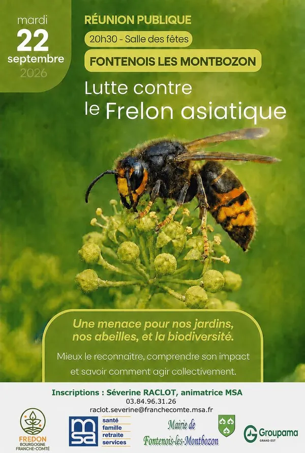 Lutte contre le frelon asiatique le 22/09 à Fontenois-les-Montbozon (70)