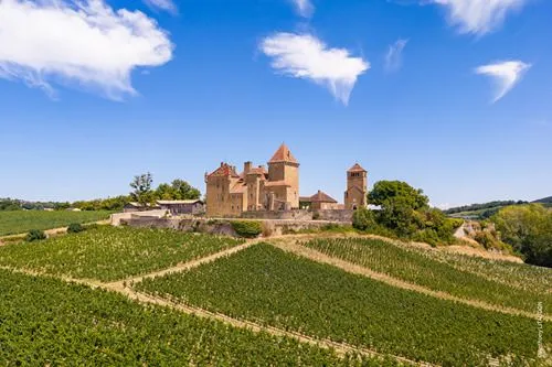 Visite historique du château de de Pierreclos