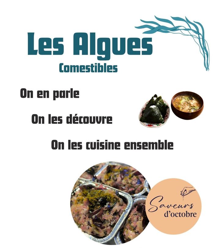 Les algues : atelier culinaire - Saveurs d'octobre
