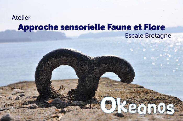 Atelier « Approche sensorielle Faune et Flore »