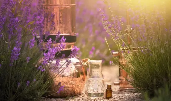 Secrets de distillation