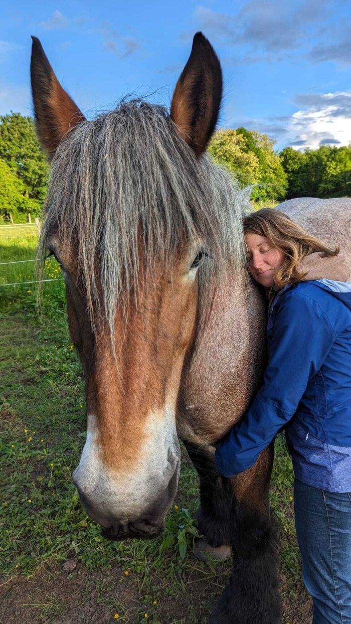 Découverte du centre d’équithérapie en pleine nature :  LP Médiation équine