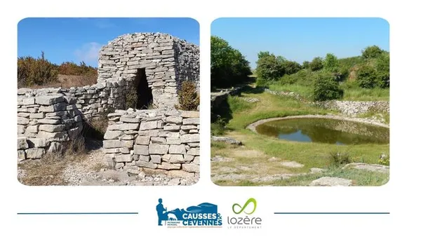 Exposition : Lavognes et Cazelles